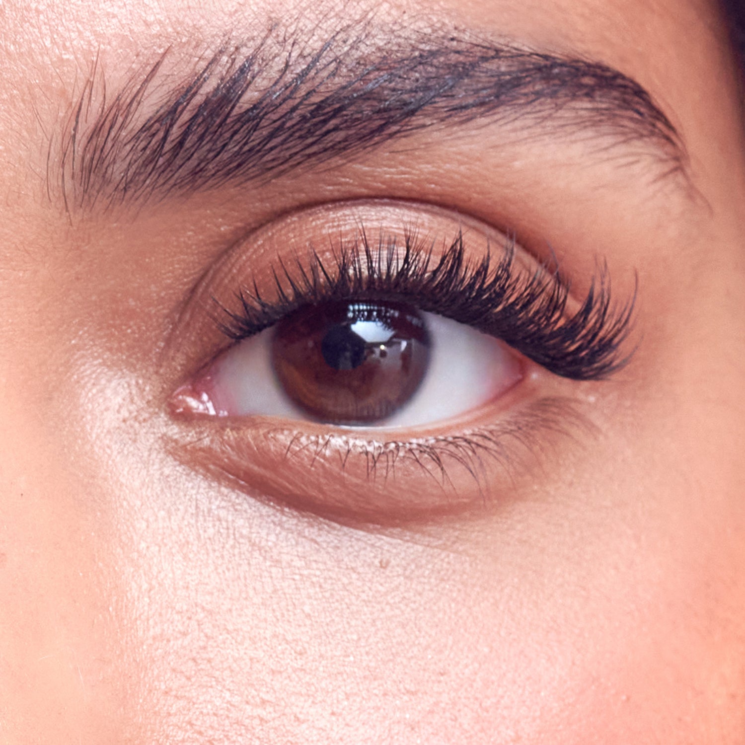 Close-up of eye with dark brown iris, full black lashes, and defined arched brow.
