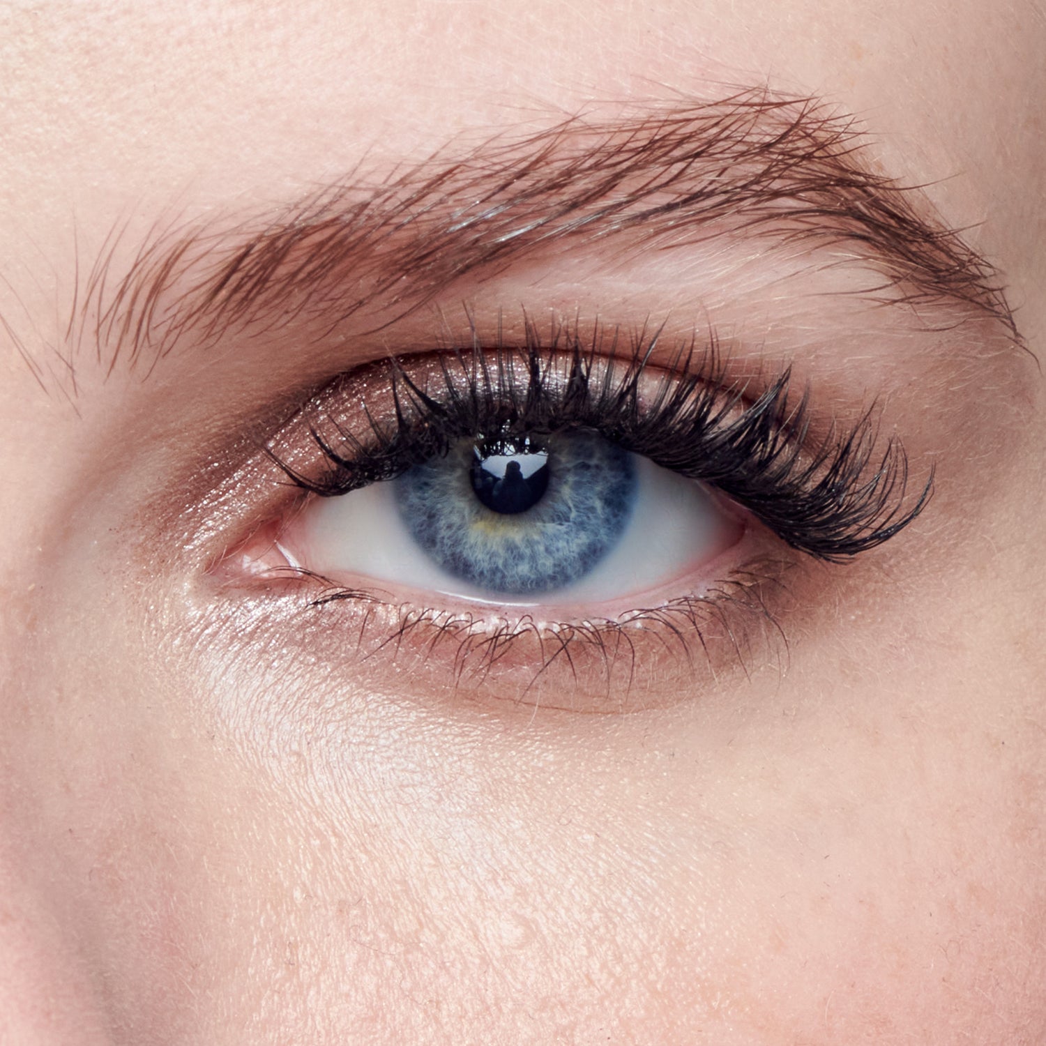 Close-up of blue eye with bronze eyeshadow, black eyeliner, and defined brows