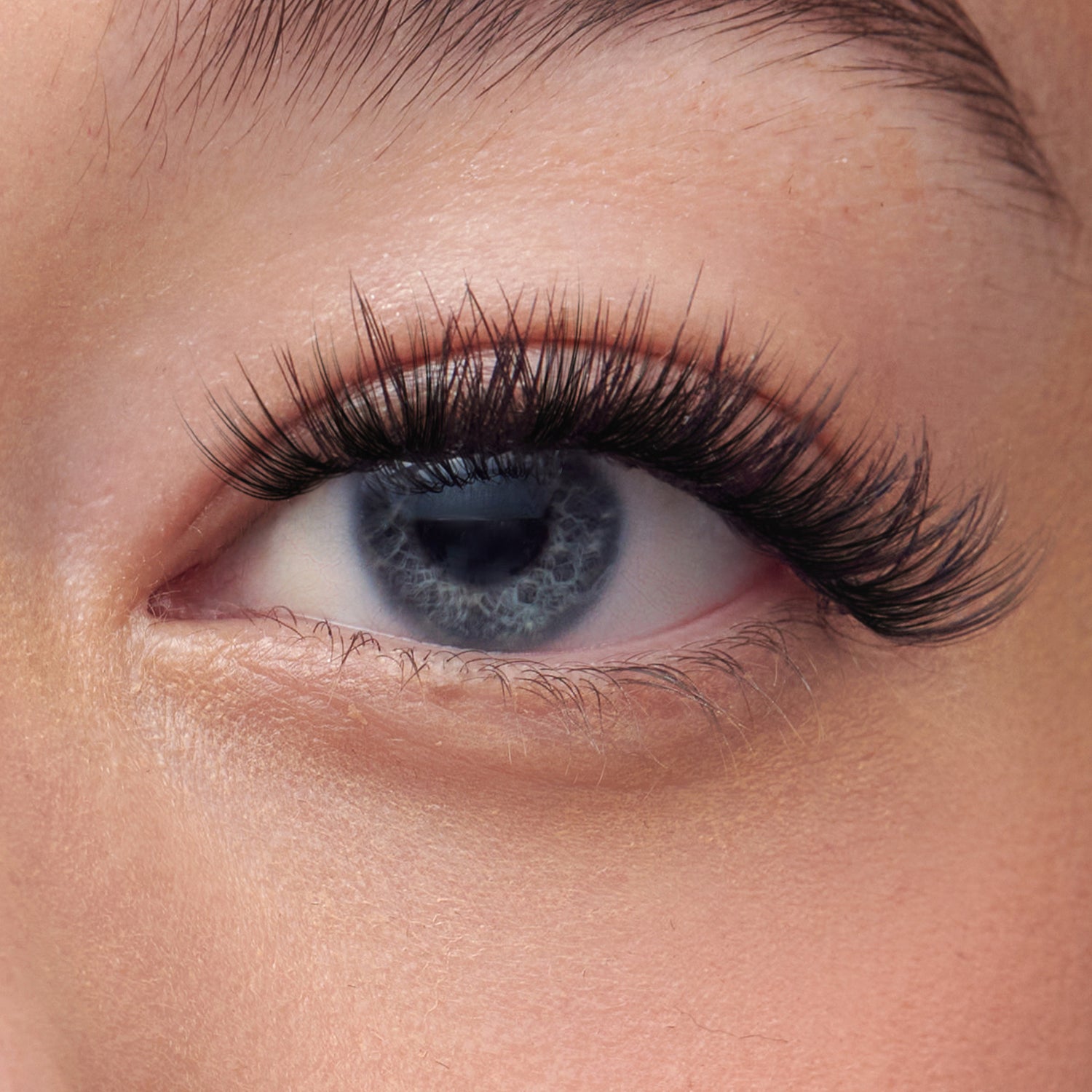 Close-up of blue eye with full black false lashes and warm eyeshadow.