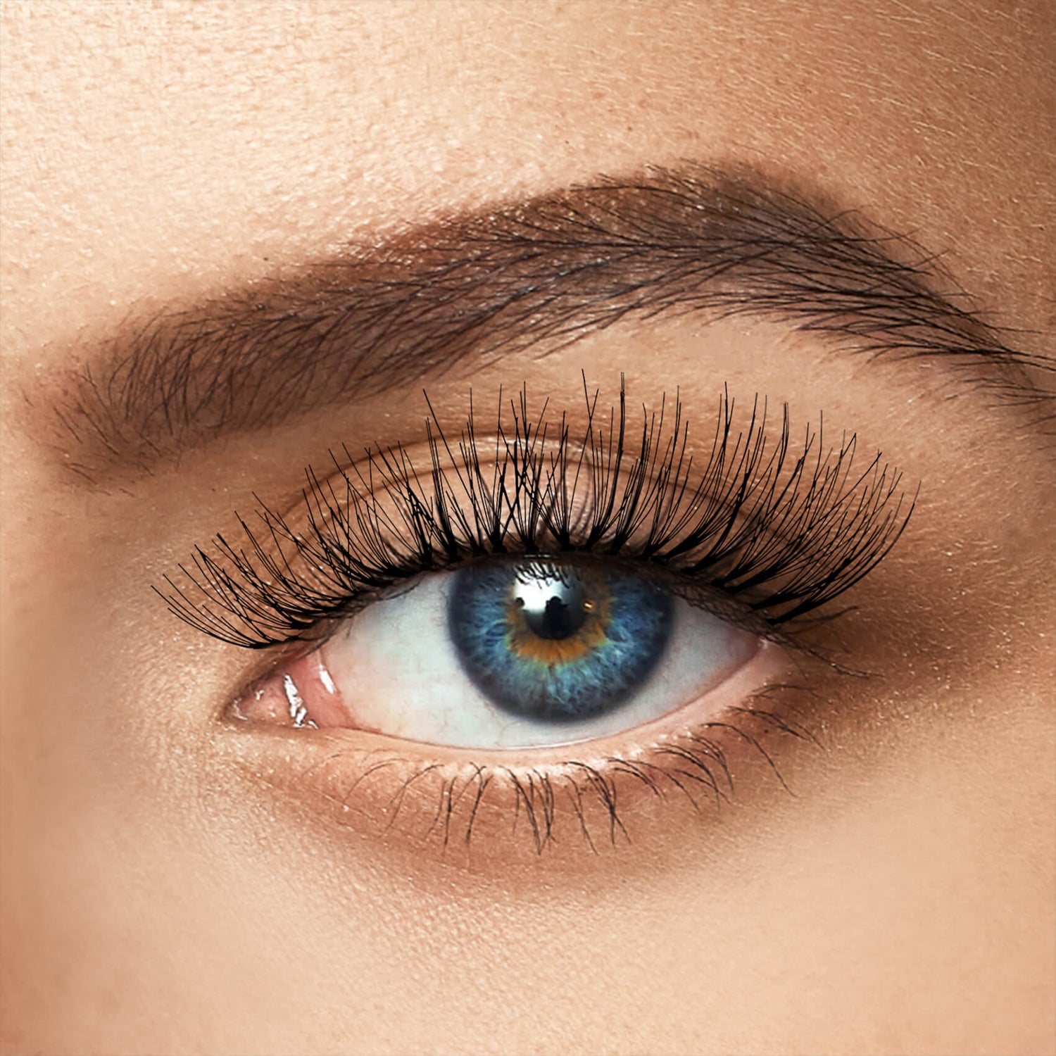 Close-up of a blue eye with medium-length, natural-looking false eyelashes applied, showing a soft, wispy lash style enhancing the eye&